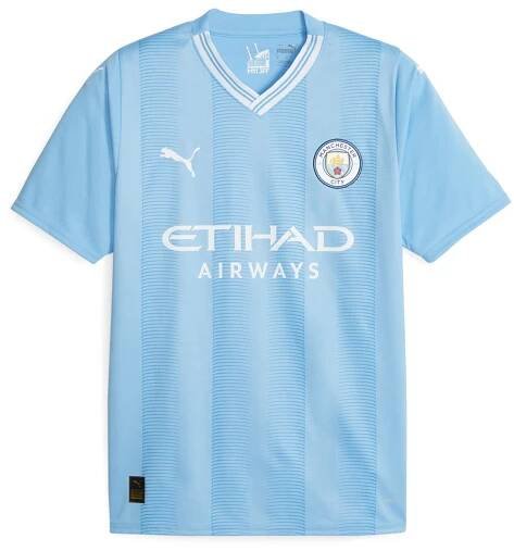 Manchester City EPL Puma Men's Light Blue 2023/24 Authentic Jersey