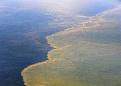 Oil Spill Dispersants Market Size, Share, Trends