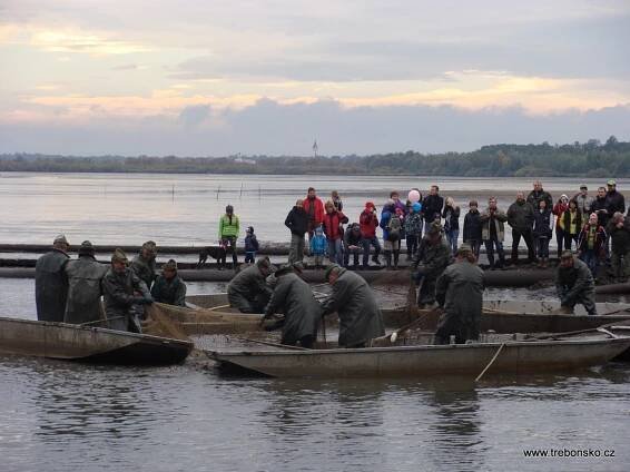 Fotoalbum výlov Rožmberku 2013 (rybářská událost roku 2013!) | Třeboň a okolí - Třeboňsko.cz