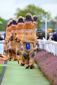 Závody dinosaurů T-Rex v Brit�ánii: Prověřili bránice diváků