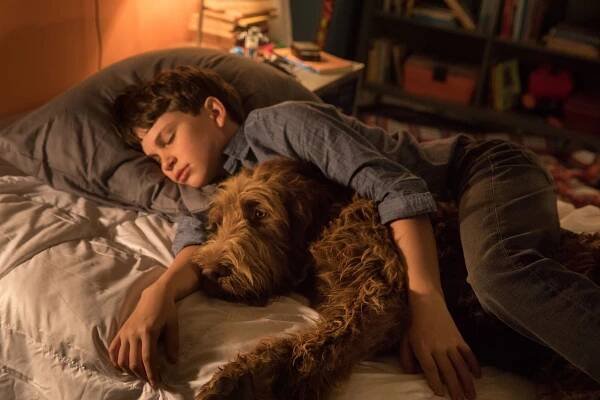 Mysli jako pes - Z filmu - Gabriel Bateman