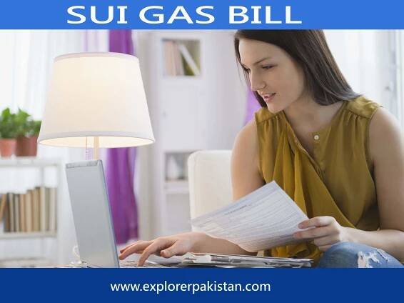 Sui gas bill online