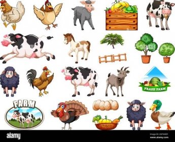 Farm animals Stock Vector Images - Alamy