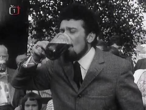 Waldemar Matuška - Už koníček pádí (1967)
