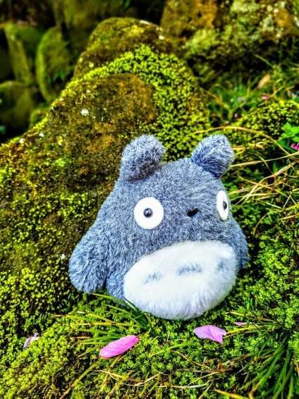 totoro