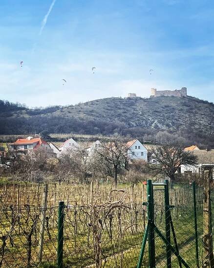 Vila Henrieta Pavlov ubytování na Pálavě | TRAVELKING