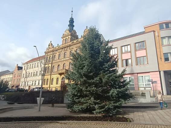 Strakonice už mají vánoční strom. Na náměstí putoval z Jinína