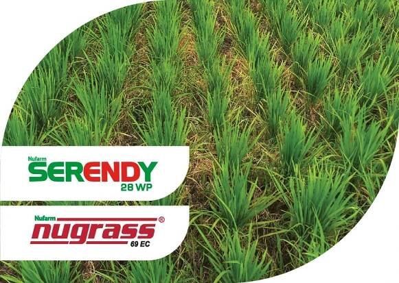 Berita - Nufarm Indonesia