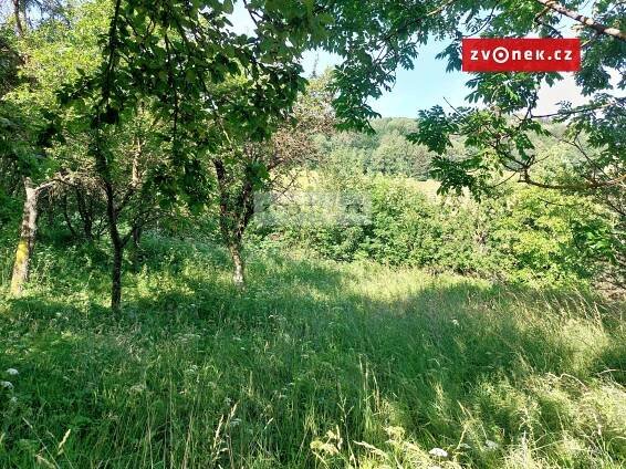 Prodej Pozemek, Vápenice, okres Uherské Hradiště
