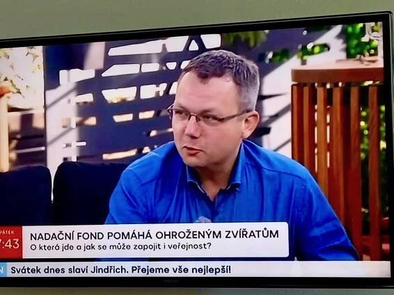 JF_vtv