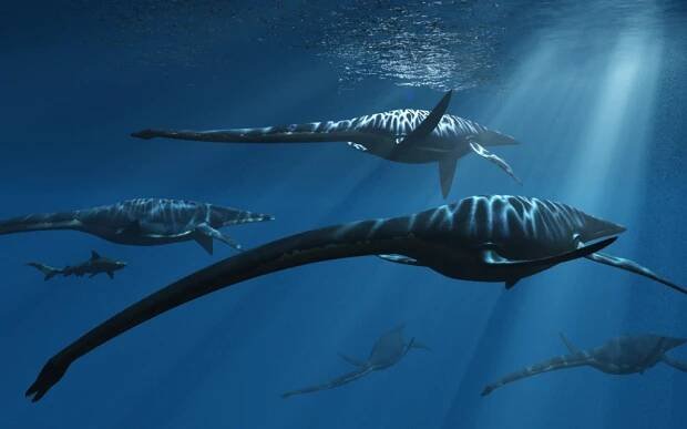 Elasmosaurus Facts, Adaptation, Classification and Species