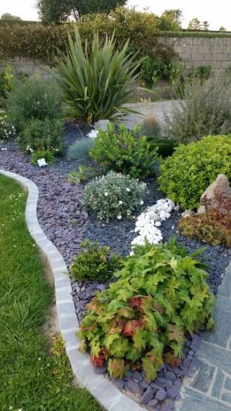Jardin avec plantes au milieu et rochers au sol