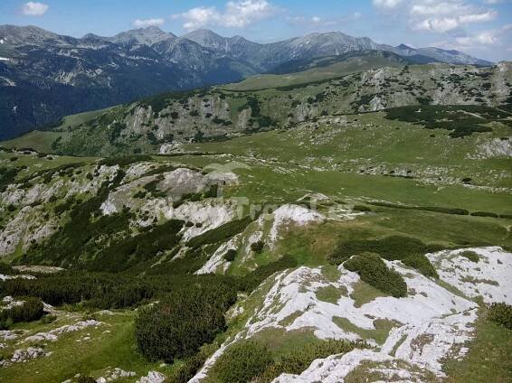 Poznávací zájezdy Rumunsko, , | New Travel.cz