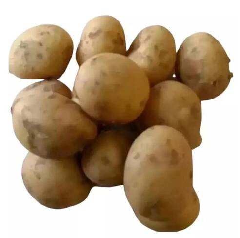 BIO brambory žluté - typ B, min. 3 kg
