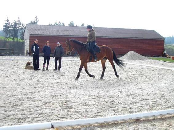 drezurní soustředění Bohuslavice 9-10.4 | Jockey Club Malý Pěčín