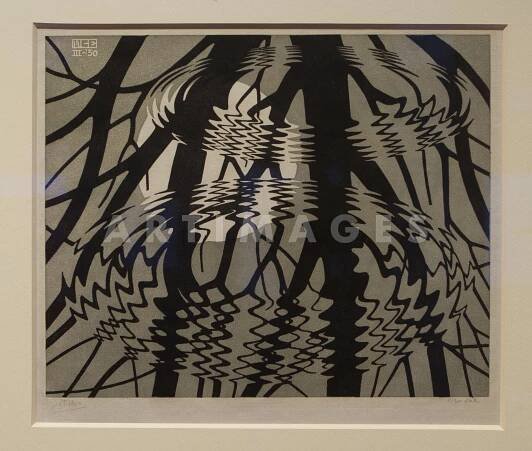 ARTIMAGES - Escher