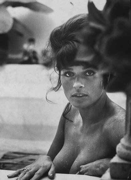 Austrian actress Senta Berger, 1965.