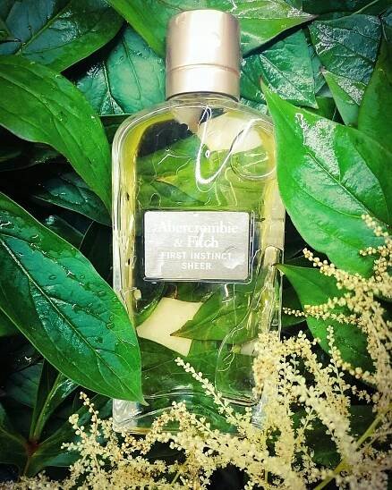 First Instinct Sheer Abercrombie & Fitch pro ženy