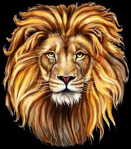 Obrázek produktu Dětské tričko Lev Aslan Mighty Lion