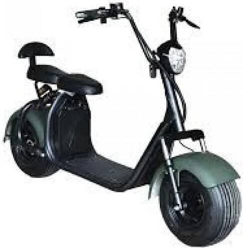 EcoWheel GR7 1000W černá