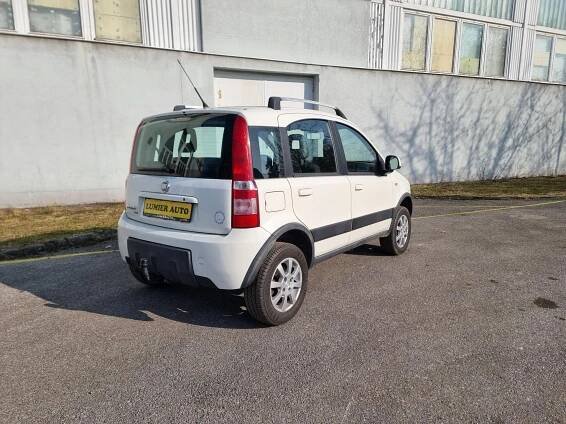 Fiat Panda 1.3D 4x4, tažné