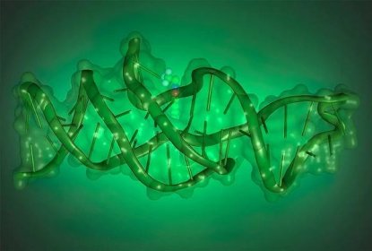 Uncovering the Intricate 3D Architecture of Lettuce DNA: A Breakthrough ...
