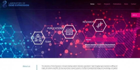Laboratory of Gene Expression - reference webových stránek Plzeň