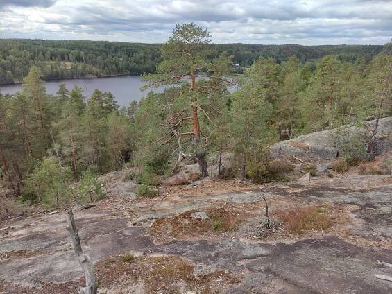 Soubor:Vyhlídka, oranžová okružní trasa (Maahisenkierros), Solvalla, Espoo, Finsko 01.jpg