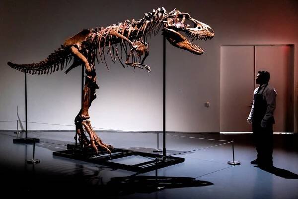 Skeleton of a Gorgosaurus Sells at Auction for $6.1 Million