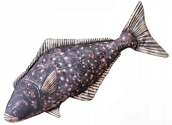 POLŠTÁŘ PLYŠÁK DÁREK HALIBUT 72 cm