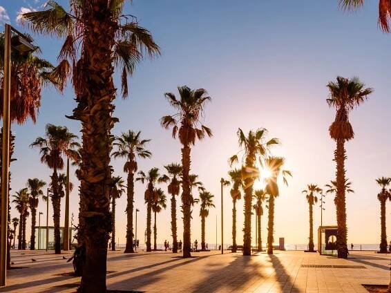 17 best beaches in Barcelona, as chosen by a local expert