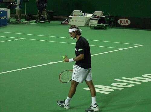 Juan Carlos Ferrero - Wikipedia