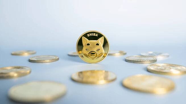 Kryptoměna Shiba Inu jako platební metoda?