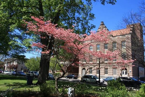 Holland, MI: All You Must Know Before You Go (2025) - Tripadvisor