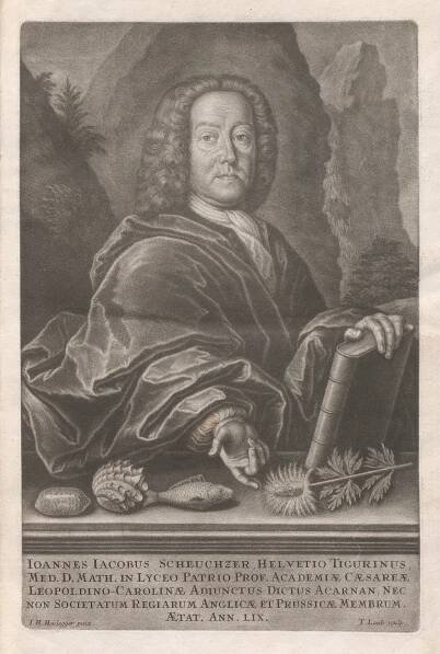 Soubor:Johann Jakob Scheuchzer (1731).jpg – Wikipedie
