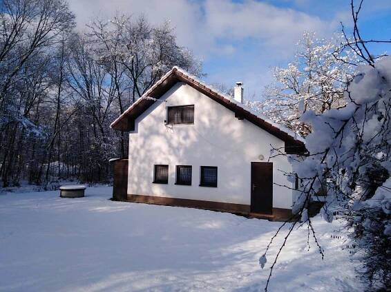 Možnost pronájmu i v zimě Koloděje nad Lužnicí - foto 2