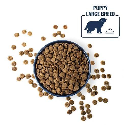 Granule pre šteňatá Polaris bezobilné granule s čerstvým mäsom Junior Large Breed s jahňacím a lososom 12 kg