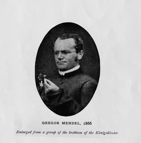 Austrian Botanist Gregor Mendel