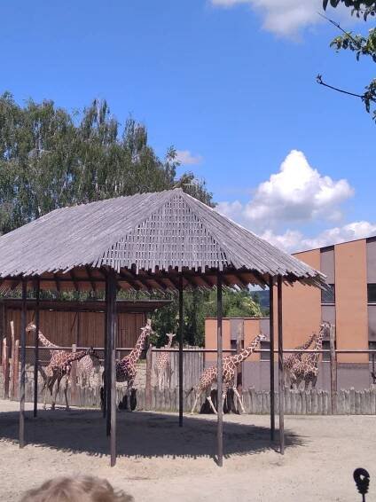 ZOO Dvůr Králové – Mateřská škola Pastelka Knapovec