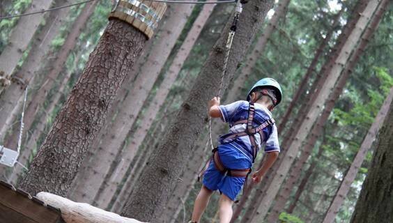 Přírodní lanové centrum Svatý Linhart | Adrenalinové atrakce Karlovy Vary | NaVylet.cz
