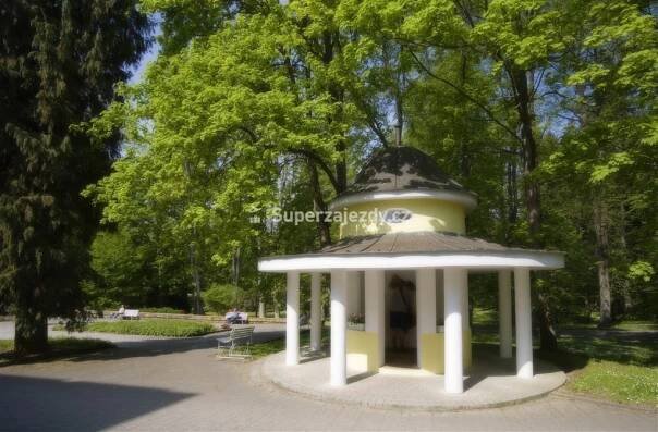LÁZEŇSKÉ PENZIONY KONSTANTINOVY LÁZNĚ - Plzeňsko - Česká Republika | Nejlepší zájezdy - last minute dovolená a hotely