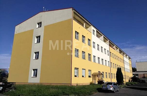 Pronájem Byt 1+1, Topolová, Milovice - Mladá, okres Nymburk
