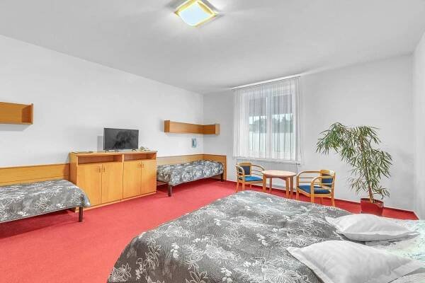 Postel nebo postele na pokoji v ubytování Hotel Za Vodou