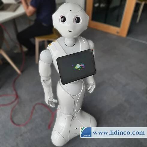 Robot Pepper SoftBank Pepper