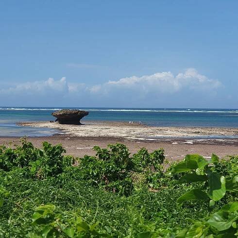 MEDINA PALMS - Updated 2025 Prices & Resort Reviews (Watamu, Kenya)