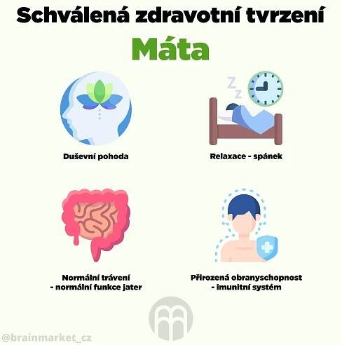 BrainMax Digestive Magic trávicí enzymy — Cukrfree Shop