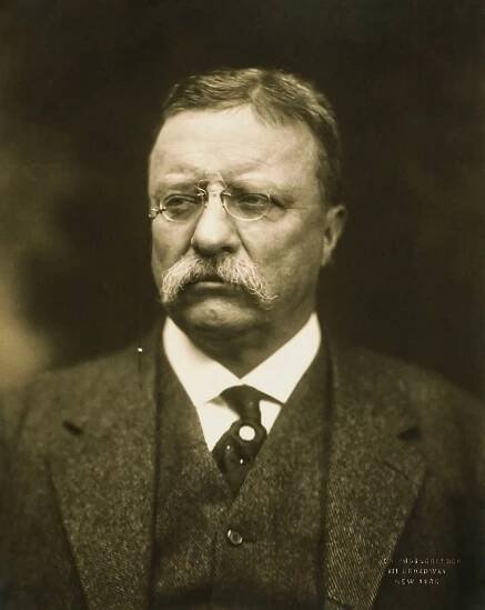 Theodore Roosevelt by Pach Brothers (photography studio)
