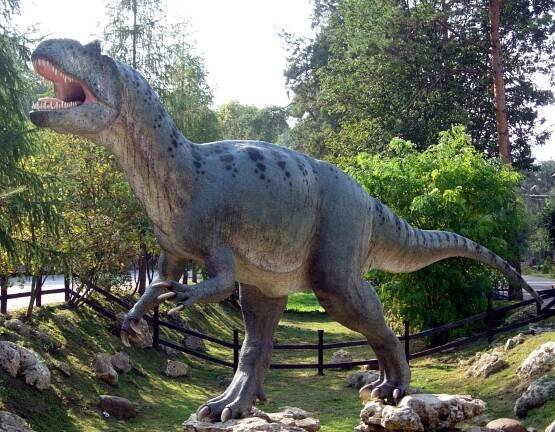 Allosaurus