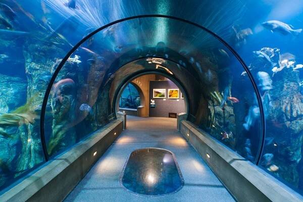 Host An Event - Oregon Coast Aquarium