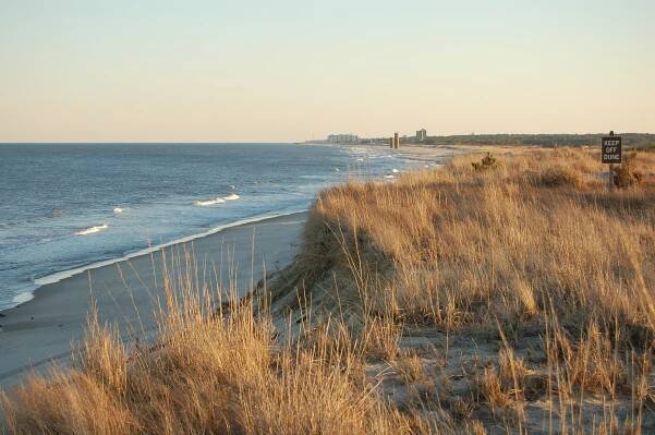 Image shows a beach with rolling waves, seagrasses, and sand
